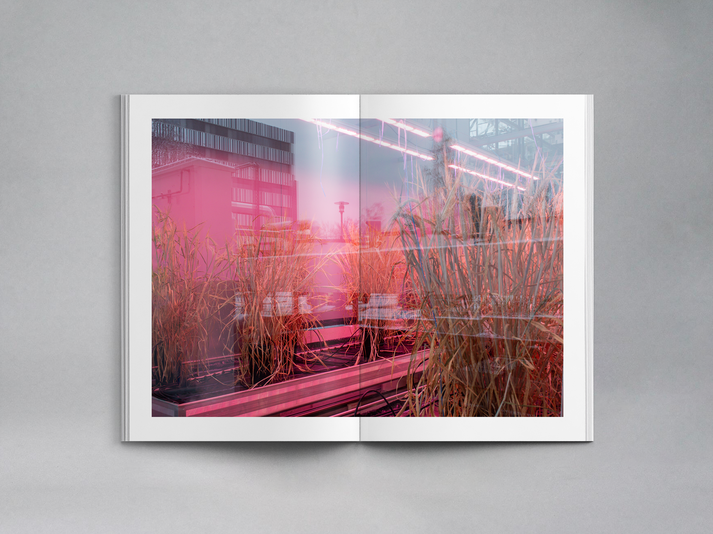 Second Full Project Image